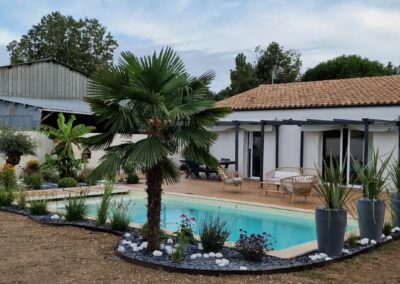 Massif avec palmier et olivier autour d'une piscine